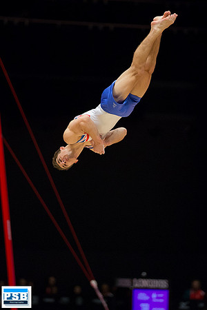 WGC2015_PSB_6161