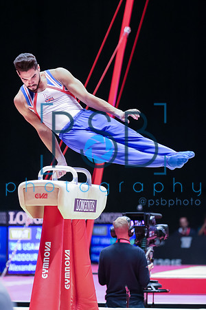 2015 World Gymnastics Championships