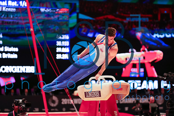 2015 World Gymnastics Championships