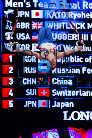 2015 World Gymnastics Championships