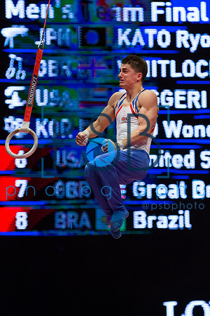 2015 World Gymnastics Championships