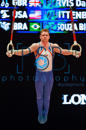 2015 World Gymnastics Championships