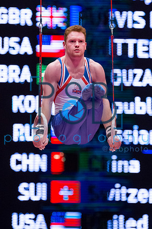 2015 World Gymnastics Championships