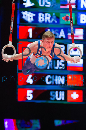 2015 World Gymnastics Championships