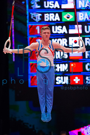 2015 World Gymnastics Championships