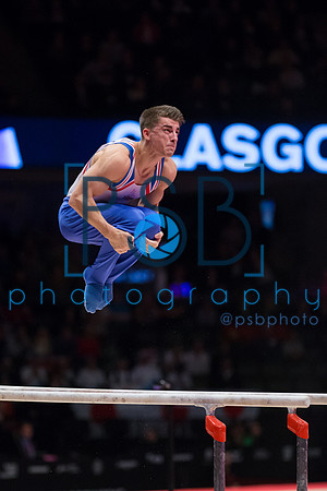 2015 World Gymnastics Championships