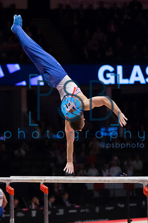 2015 World Gymnastics Championships
