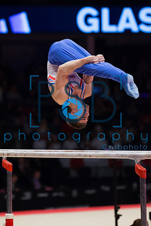 2015 World Gymnastics Championships