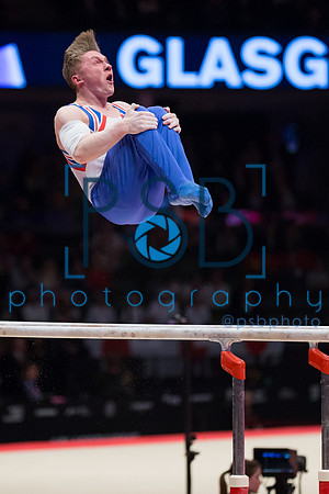 2015 World Gymnastics Championships