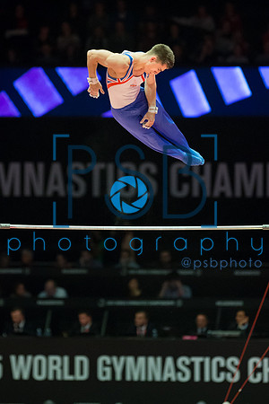 2015 World Gymnastics Championships