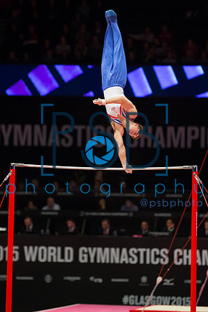 2015 World Gymnastics Championships