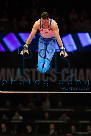 2015 World Gymnastics Championships