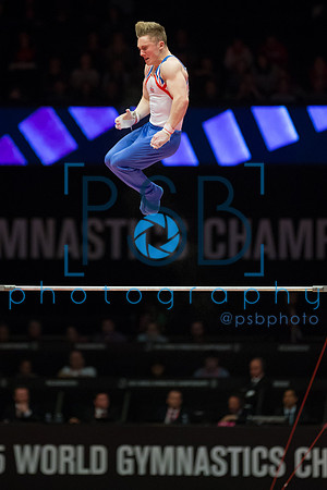 2015 World Gymnastics Championships