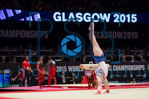 2015 World Gymnastics Championships