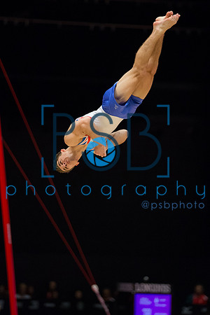 2015 World Gymnastics Championships