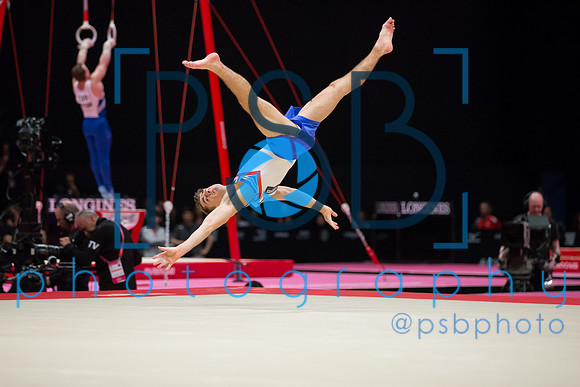 2015 World Gymnastics Championships