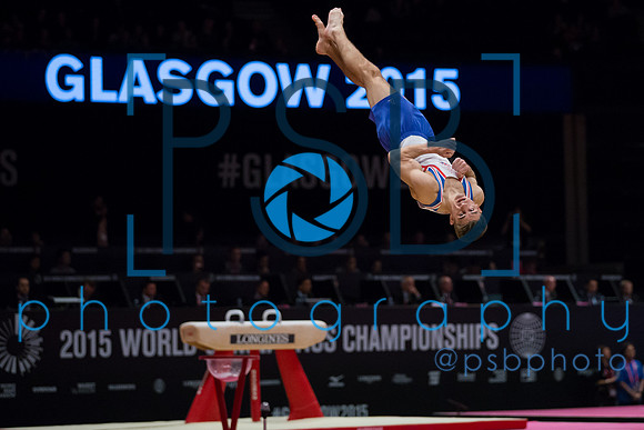2015 World Gymnastics Championships