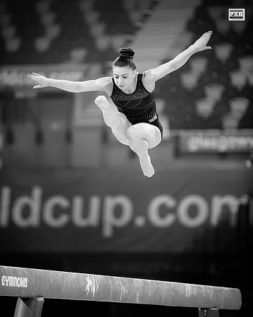 GWC_PSB_3060_mono