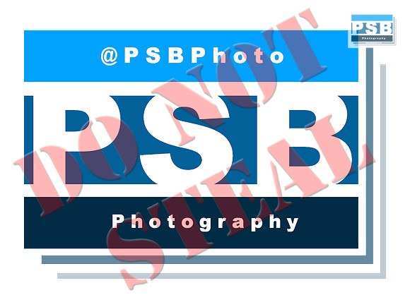 2019 PSB 800x600_online