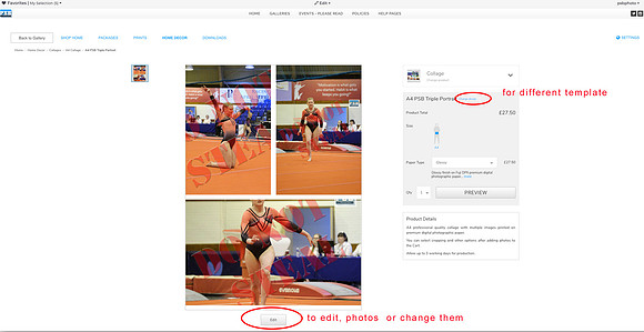 Collage Help 2
