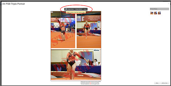 Collage Help 3