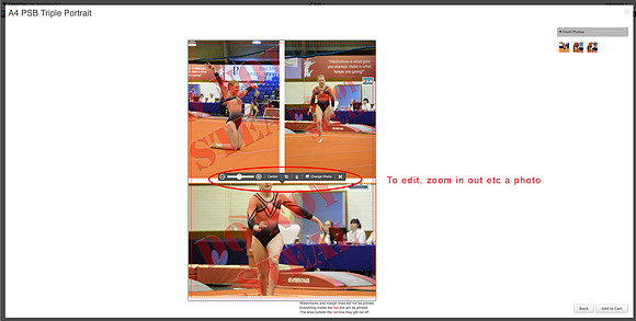Collage Help 4