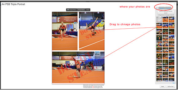 Collage Help 5